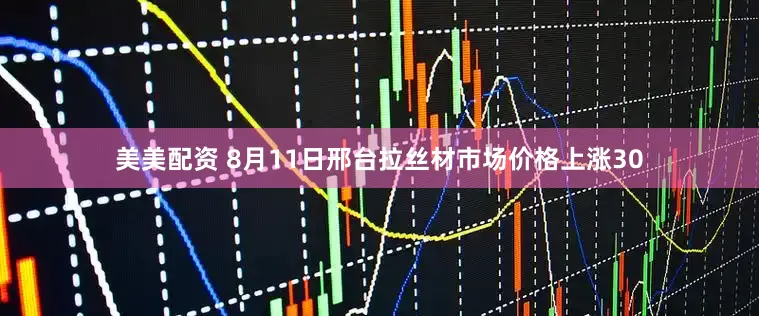 美美配资 8月11日邢台拉丝材市场价格上涨30