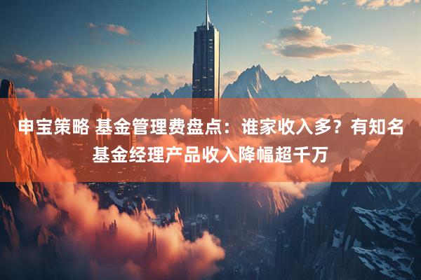 申宝策略 基金管理费盘点：谁家收入多？有知名基金经理产品收入降幅超千万