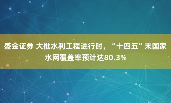 盛金证券 大批水利工程进行时，“十四五”末国家水网覆盖率预计达80.3%